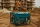 Heron, gasoline engine generator, max 2300 VA, single phase