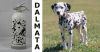 1 kg-os ABC porral oltó 5A 34B C DALMATA EDITION
