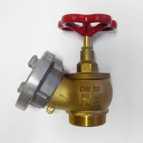   Wall-mounted fire hydrant with valve piston - copper C52 2 inches